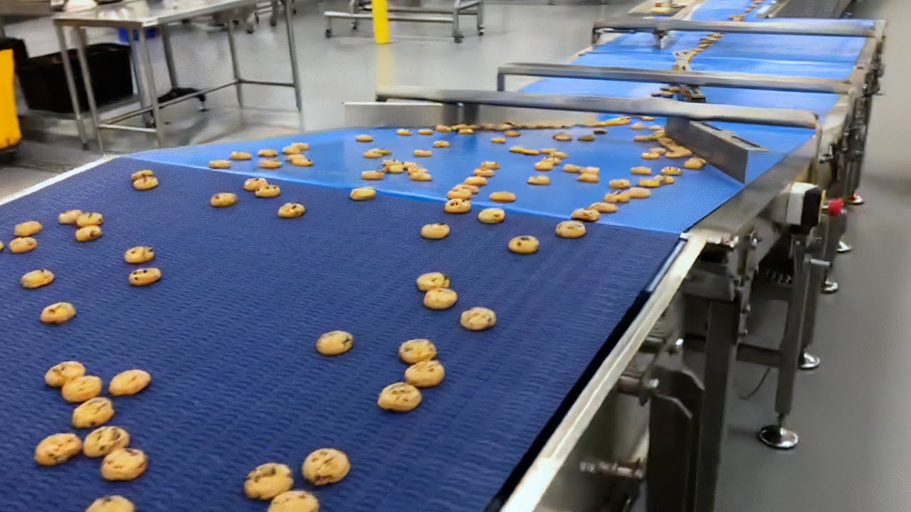 SleekWrapper HSA Highspeed Cookie Flow Wrapping Machine